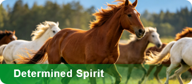 Determined Spirit